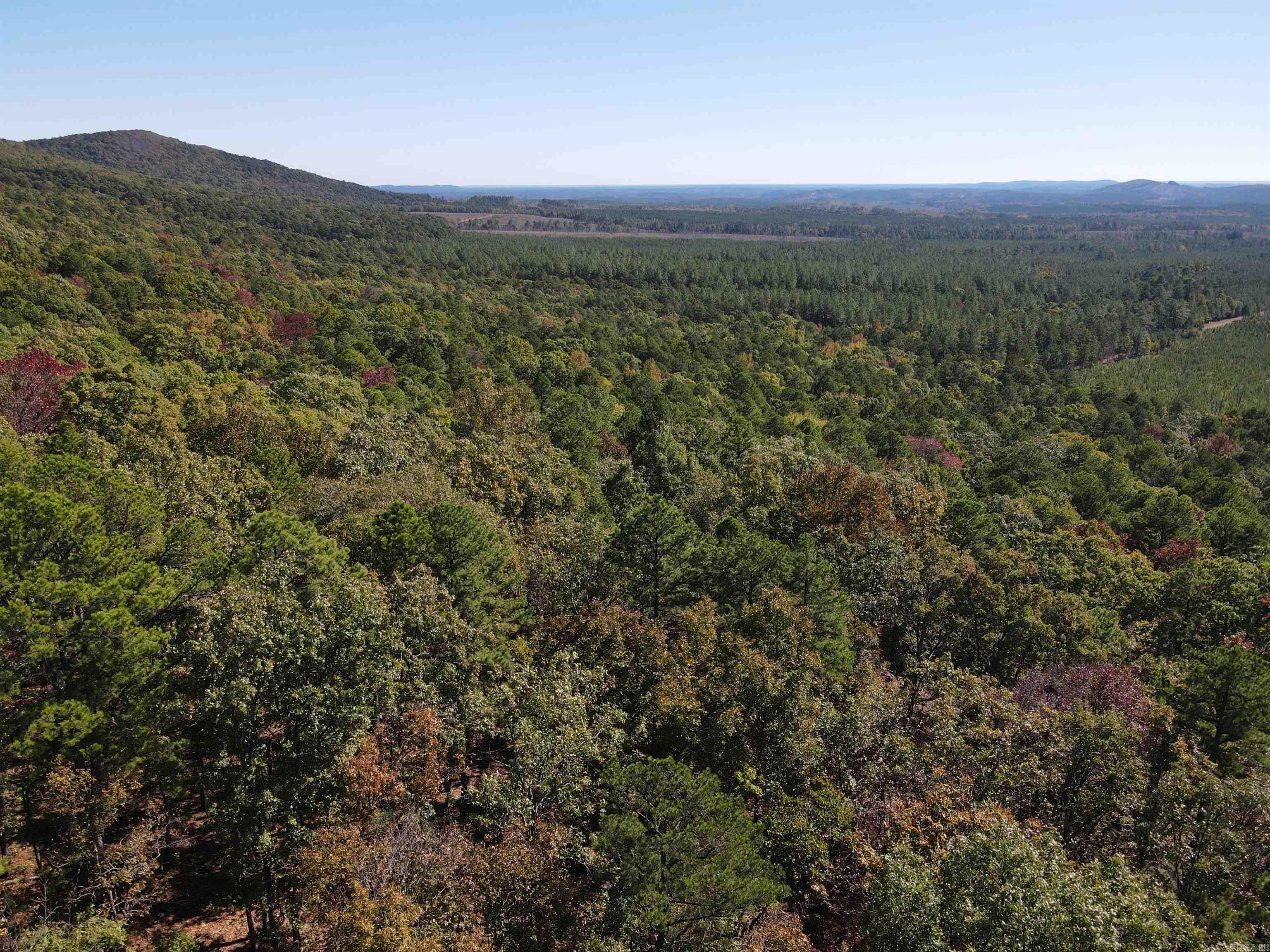 Game galore! A variety of wildlife calls this secluded 148 acre tract home with a population that includes deer, turkey, small game and bear. The north side of the property adjoins the Ouachita National Forest & Winona Wildlife Management Area. The acreage consists mostly of pine & hardwood, has a pond on the west boundary, and offers various elevations. The hunters paradise is approximately 45 minutes to Hot Springs and about an hour to Benton. Contact agent for more information.