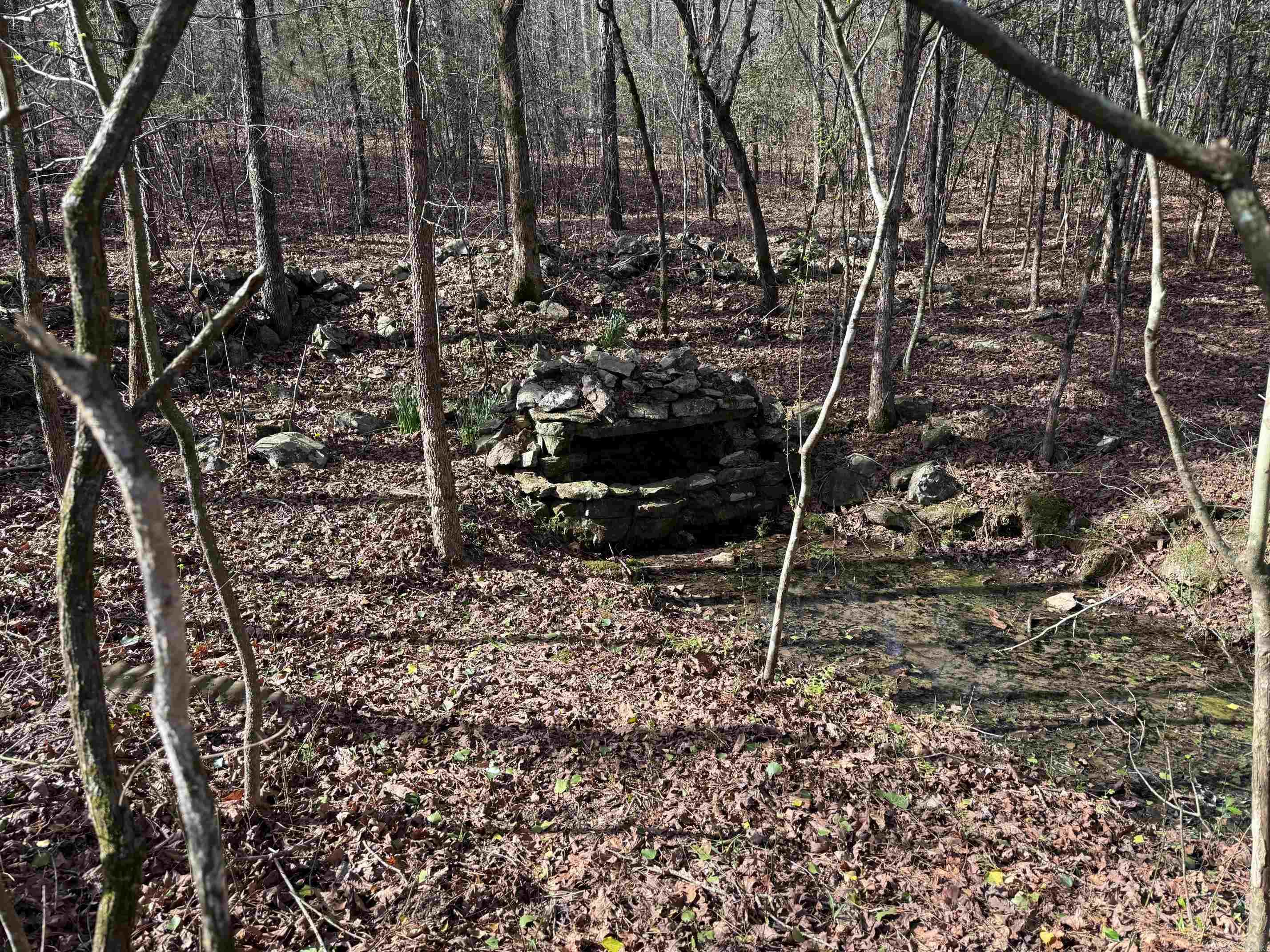 This is a one of a kind property with a Spring that runs Year Around!  This unique Property lies along a county road so it has great access.  This property is close to the Cossatot River State Park sand bar swimming and recreational area.  The property is wooded with mostly Pine Plantation Timber with some Hardwoods.  Electric and Rural Water is readily available at this Property.  Some restrictions apply  Property to be surveyed for correct legal description and acreage.