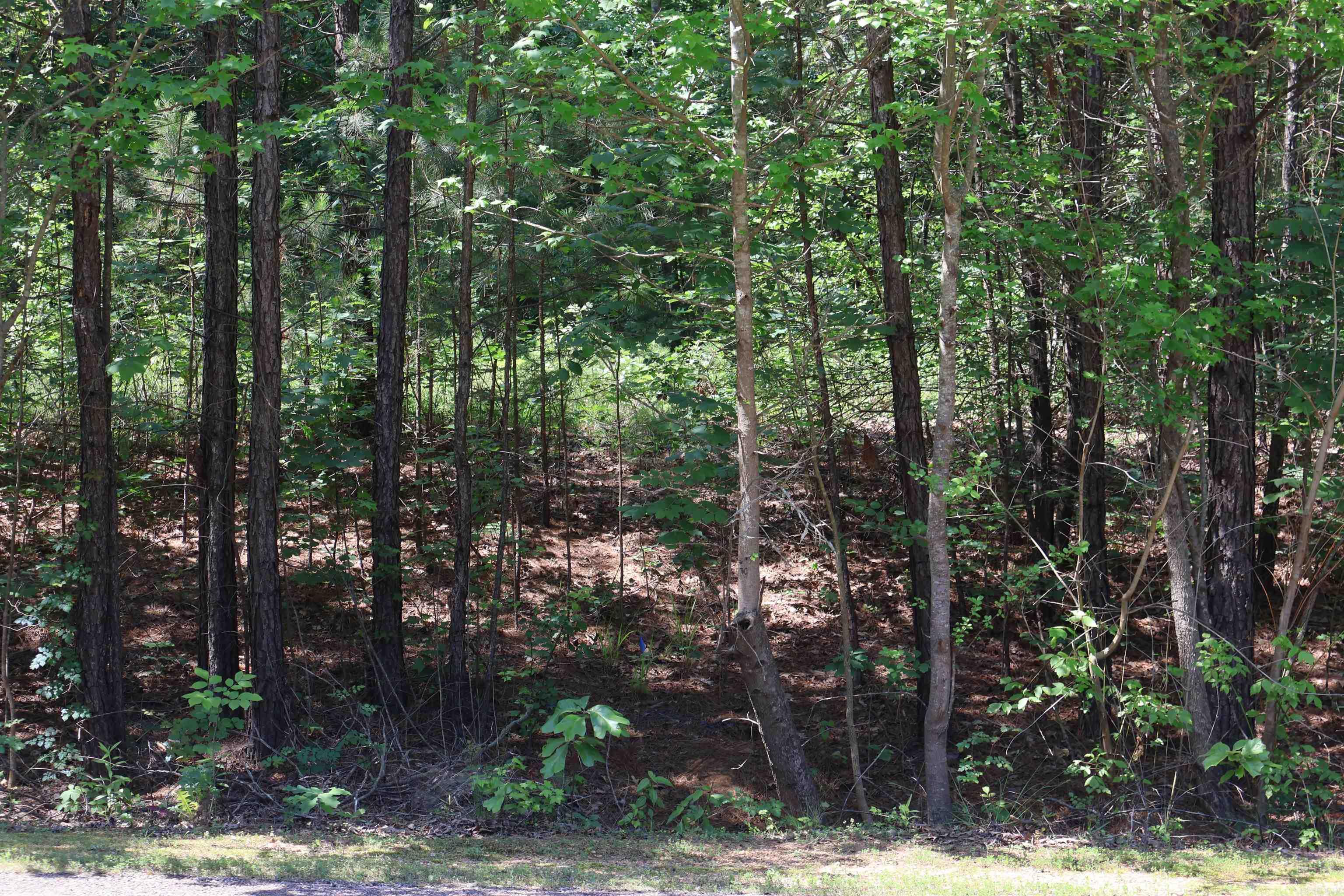 Build Your Dream on 5.5 Acres in Genoa! This is one of those rare gems everyone keeps an eye out for. Just far enough out of town for the secluded country living but close enough that you are sitting at your favorite restaurant in less than 15 minutes.  This rare 5.5-acre double-lot opportunity offers heavily wooded acreage, the highly sought-after Genoa School District, and private lake access.  This property is ready for your custom-built retreat! Schedule your tour today. Seller is willing to divide into 2 lots.