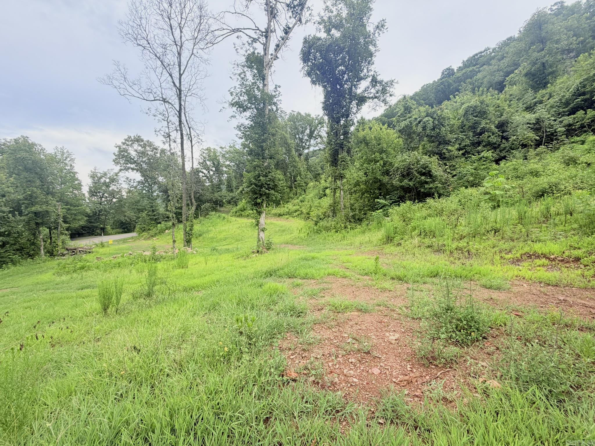 12.26 beautiful acres with endless possibilities! Nestled on a hillside near the river, this property offers multiple potential building sites with stunning views and plenty of room to create your dream home, weekend retreat, or private getaway. Enjoy the peace of country living while being surrounded by nature's beauty. Don't miss this rare opportunity to own a piece of paradise!