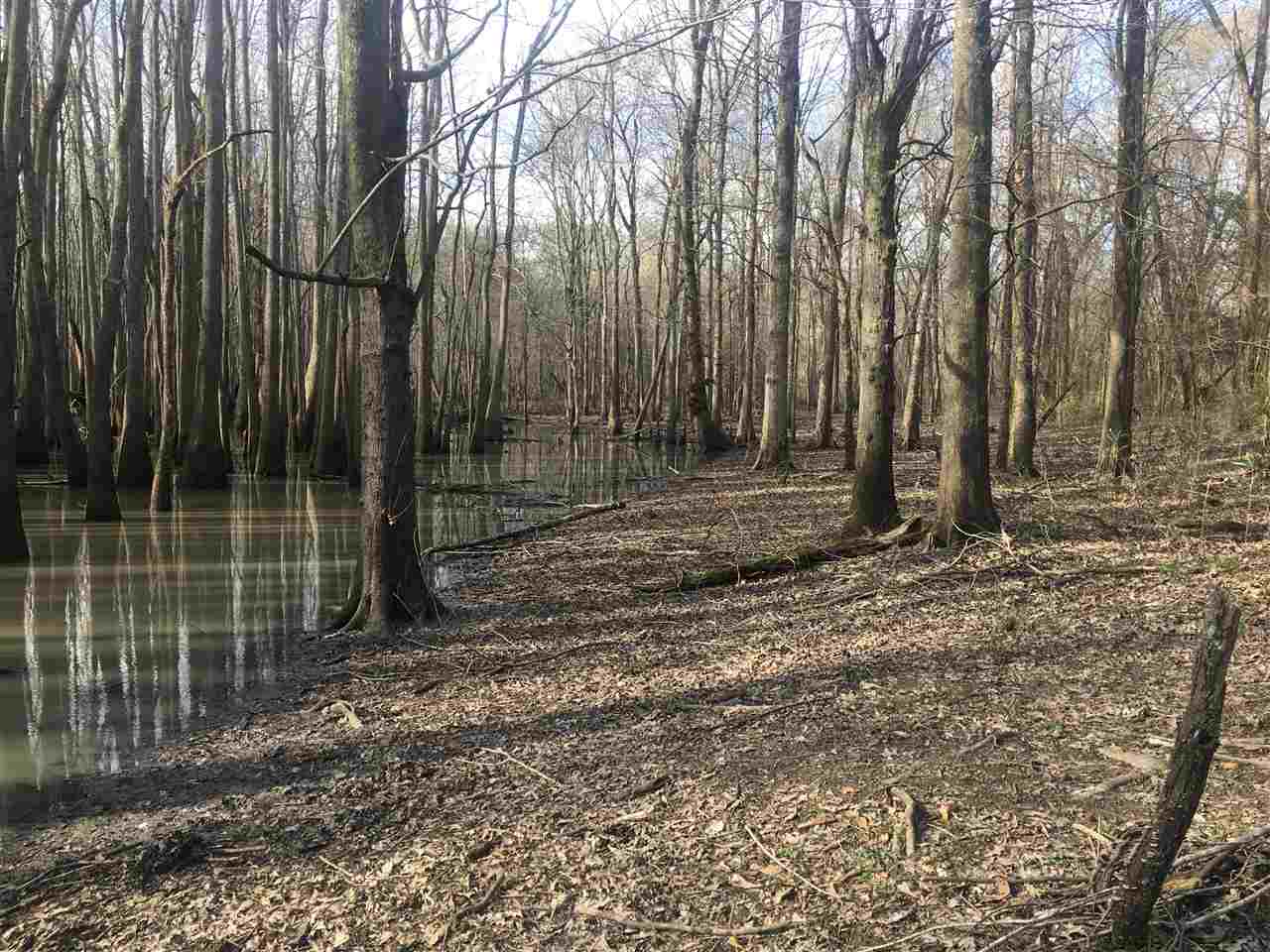 Lake - Farm