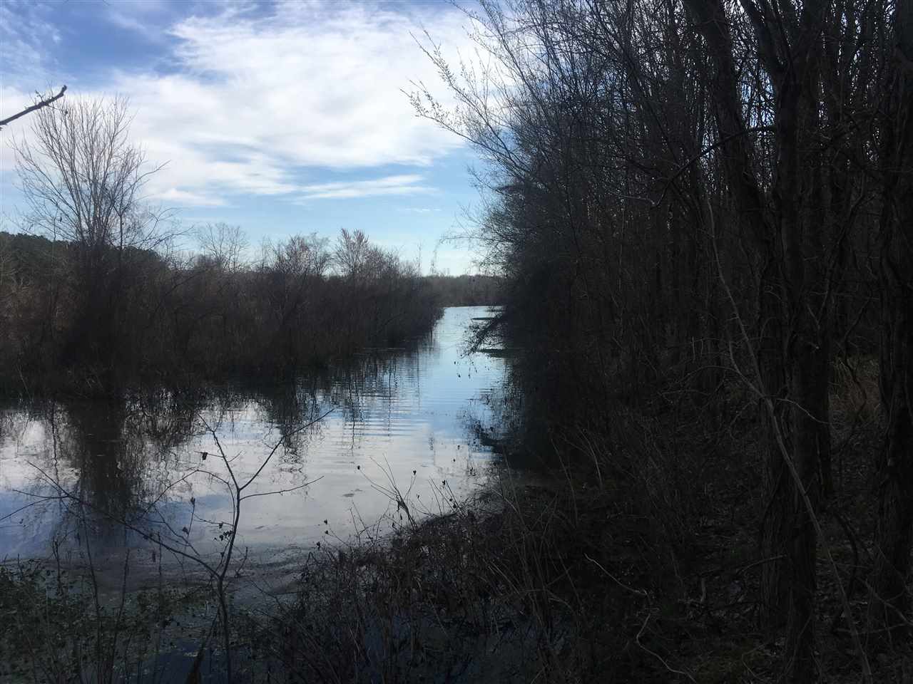 Lake - Farm