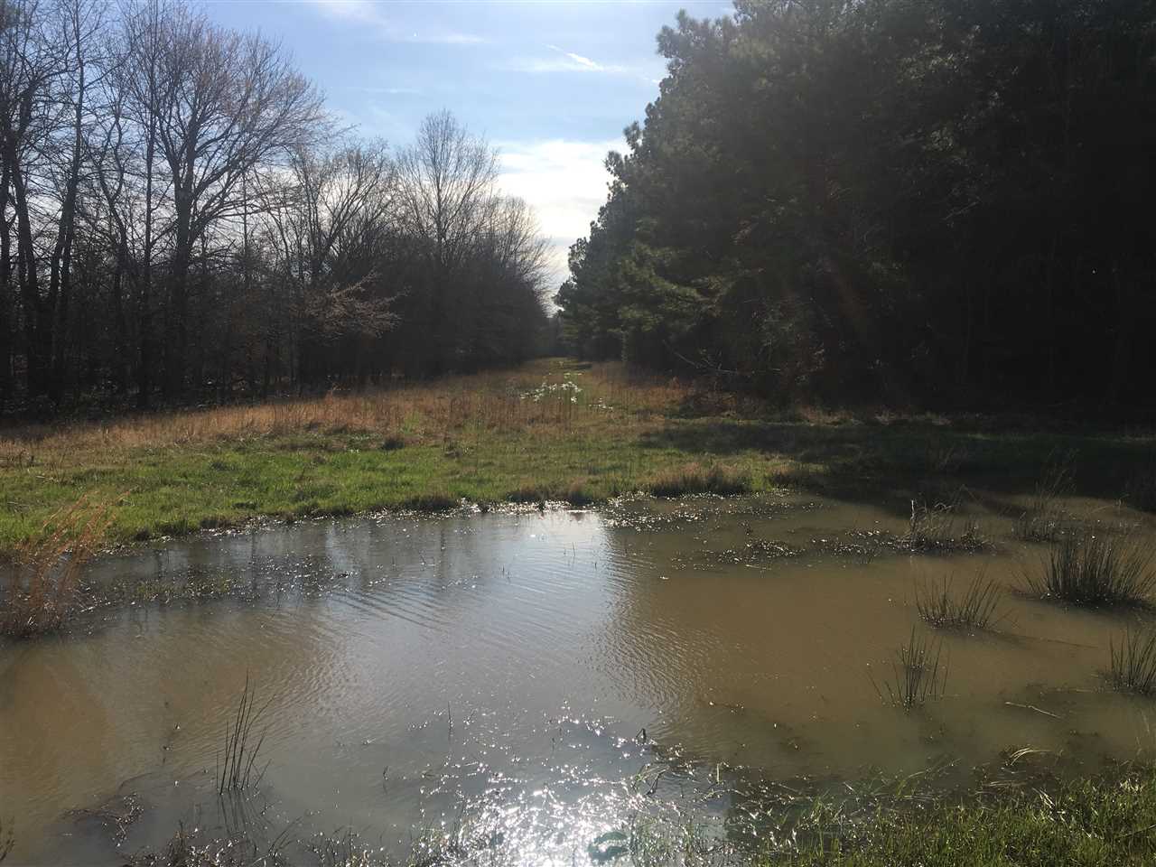 Lake - Farm