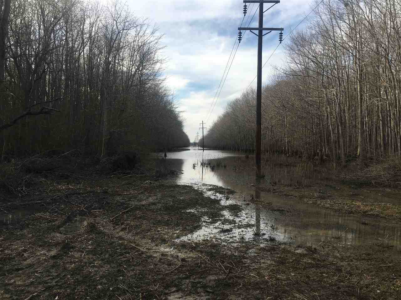 Lake - Farm
