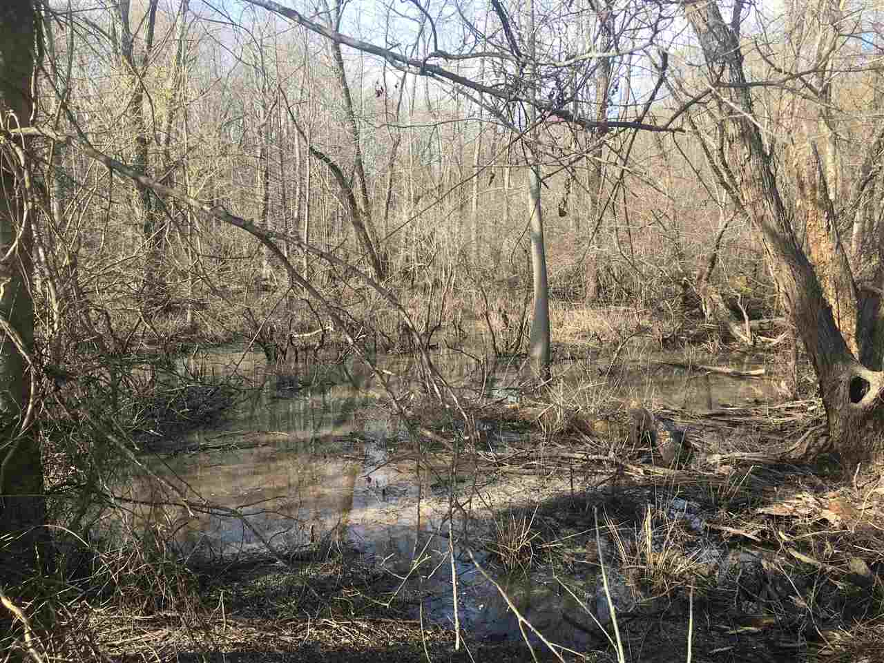 Lake - Farm