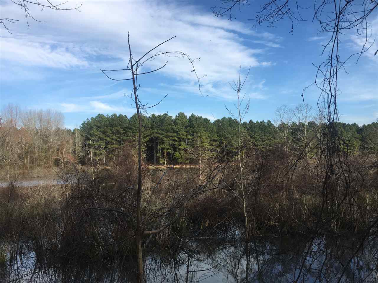 Lake - Farm