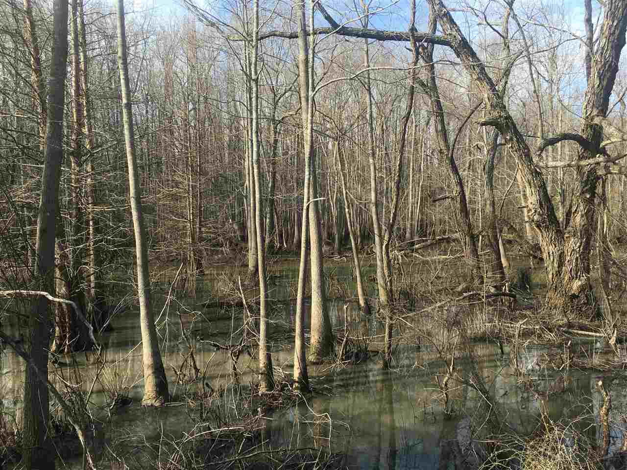 Lake - Farm