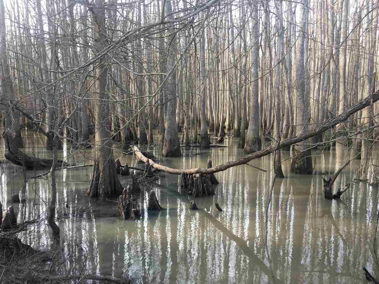 Lake - Farm