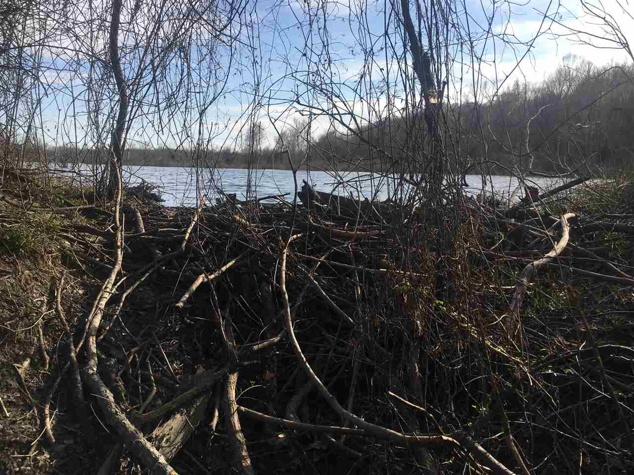 Lake - Farm