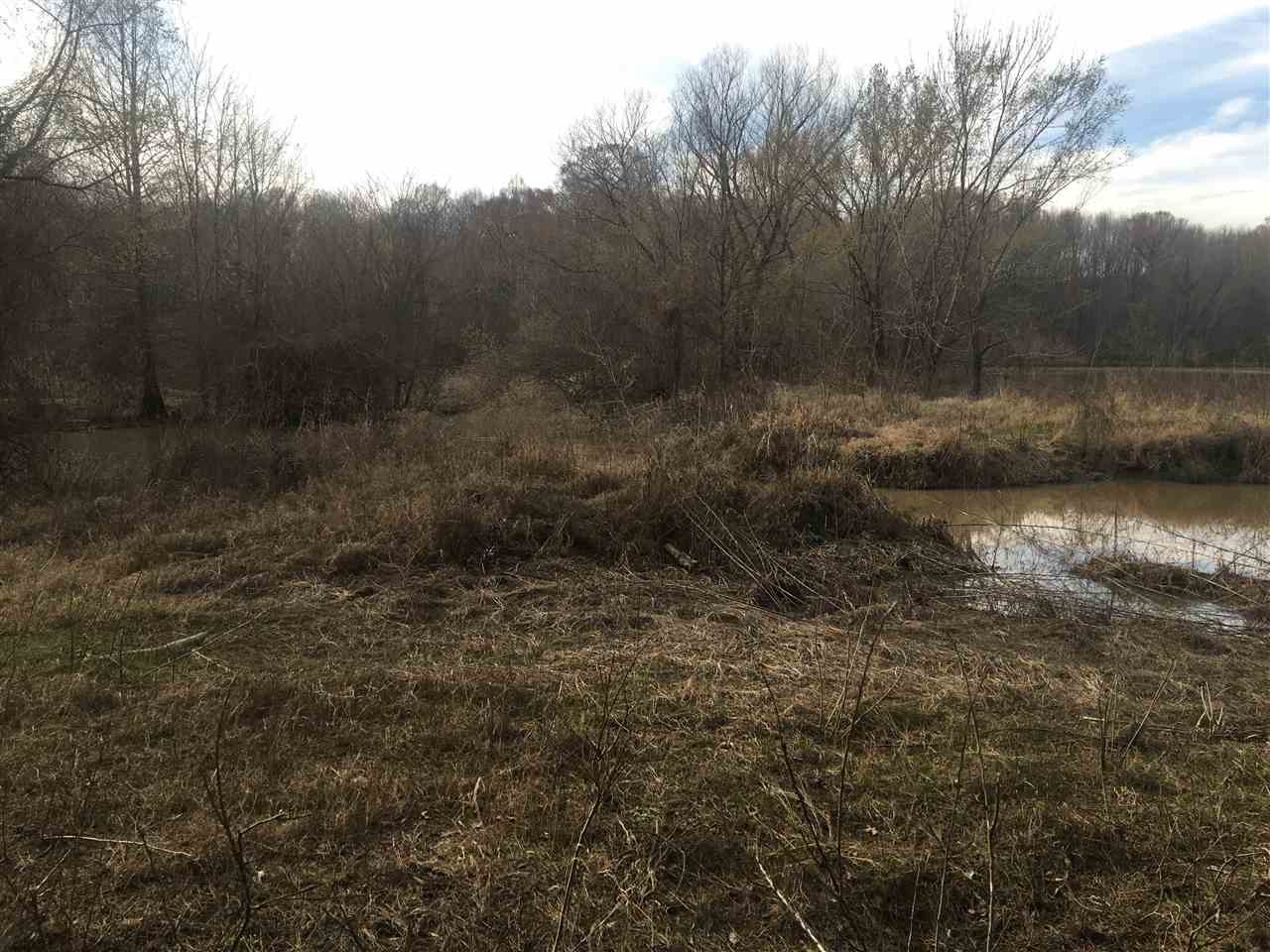 Lake - Farm