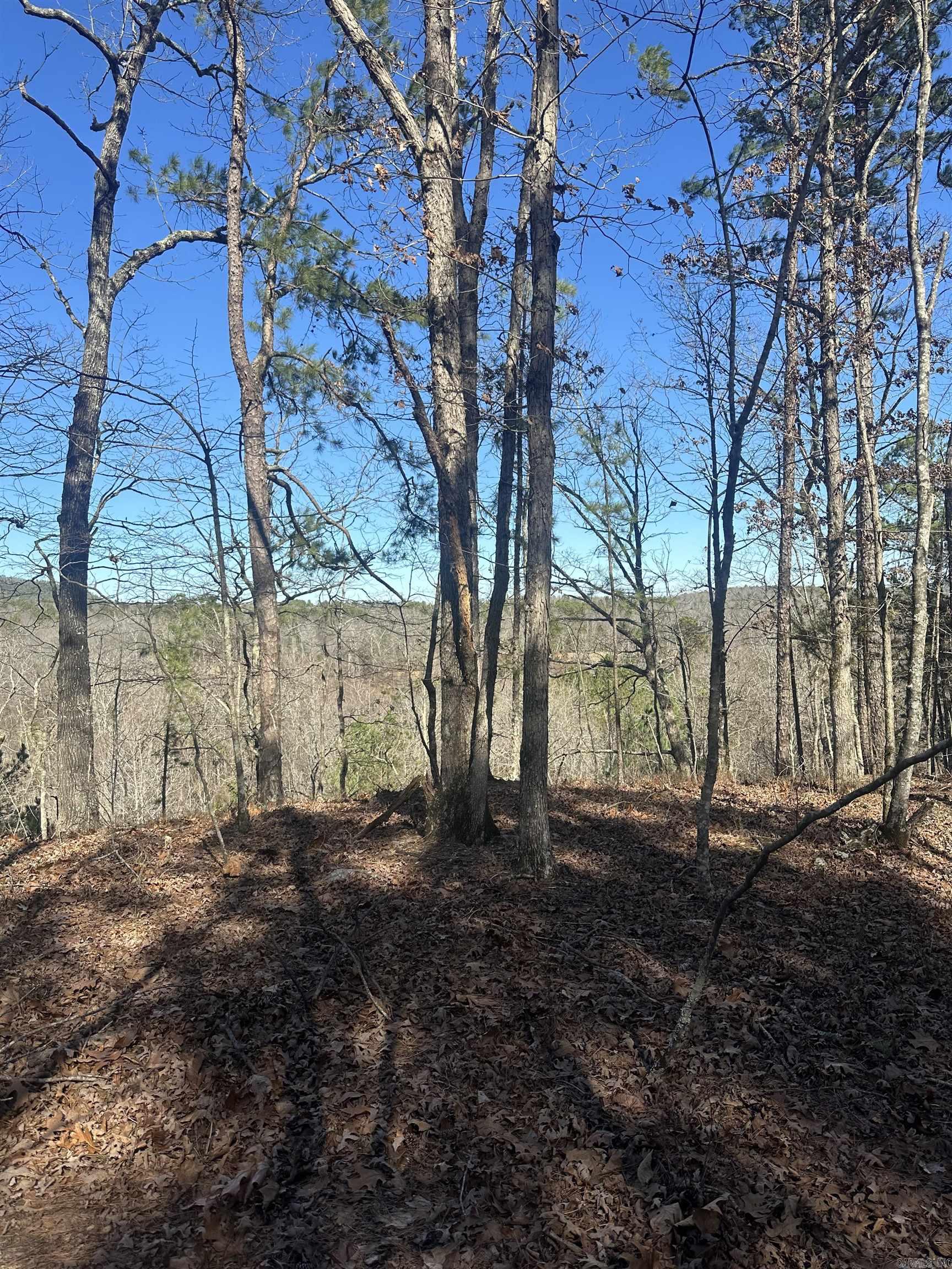 If you’re looking for a secluded spot to build your dream home—yet still want to be just minutes from the amenities of Hot Springs Village and nearby Walmart—this 19-acre tract is the perfect choice. Featuring mature woods and a peaceful seasonal creek, the property offers both privacy and natural beauty, with abundant wildlife including frequent deer sightings, making it a true nature lover’s retreat.  Utilities are not currently on the property, but electric and water are conveniently located at the edge of the property for easy access. **An additional 19-acre parcel is available next door if you’re looking to expand your space.**  Come explore the possibilities—see survey attached. Agents—see remarks.