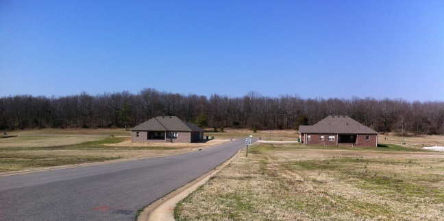 If you are looking for a great spot for your new custom built home, this is it. The lots in this subdivision range in size from a little over 1/2 acre to a little over 3/4 of an acre. Homes must be at least 1,900 sq. ft. Located just north of the Little Rock Air Force Base. Agents see attached documents.