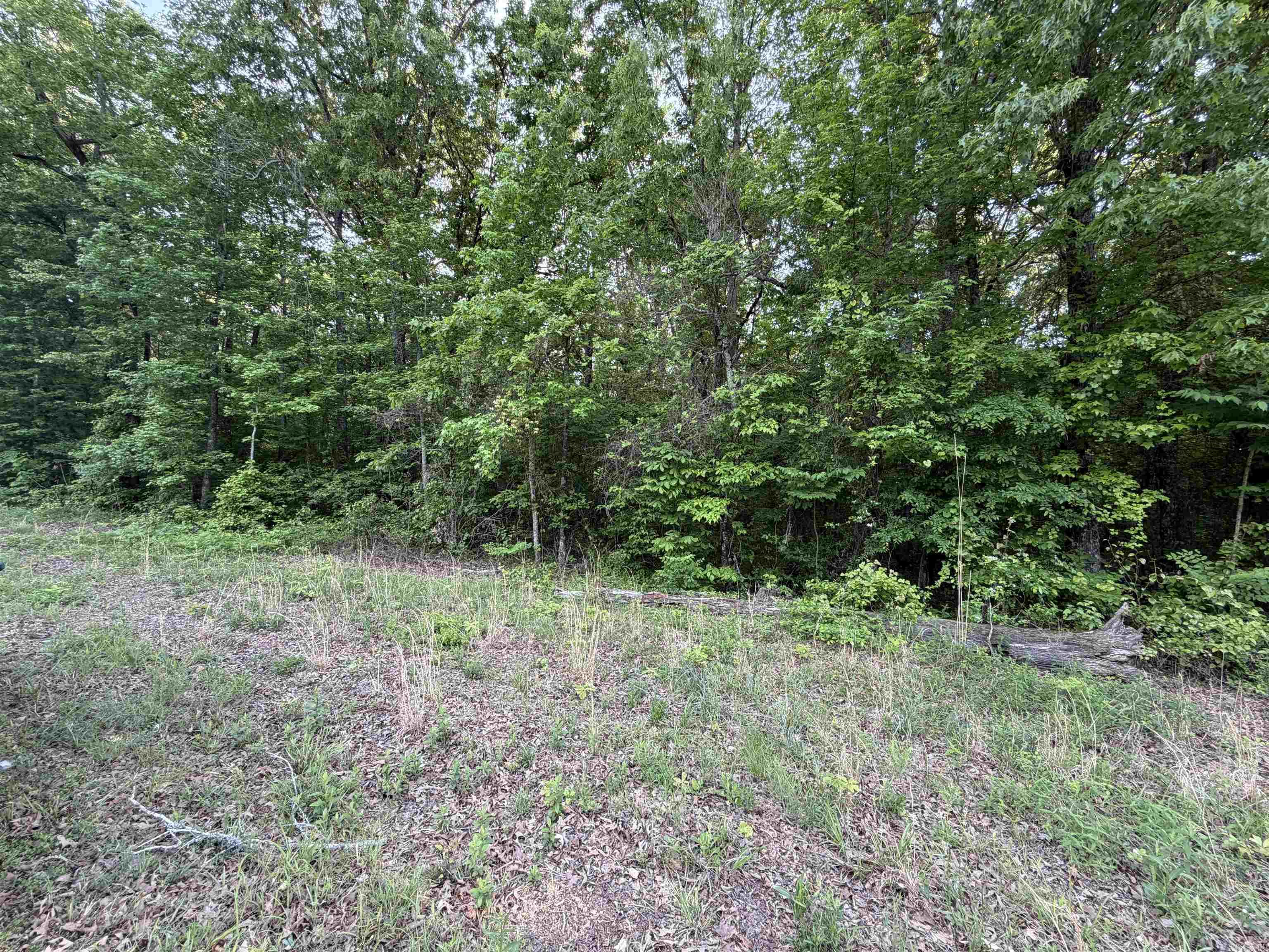 Discover the perfect opportunity to own approximately 17± wooded acres in the Vilonia School District. This beautiful tract offers a private, natural setting ideal for developing your dream home or getaway retreat. With plenty of mature trees and room to explore, you can create your own custom homesite tailored to your vision.  Conveniently located between Conway, Beebe, and Cabot, this property provides a peaceful rural feel while still offering easy access to nearby amenities, shopping, and dining.  Owners have limited knowledge of the property. Agents and buyers are encouraged to perform their own due diligence regarding utilities, boundaries, and suitability for intended use.  Don’t miss your chance to own a versatile piece of land in a growing area with great potential!