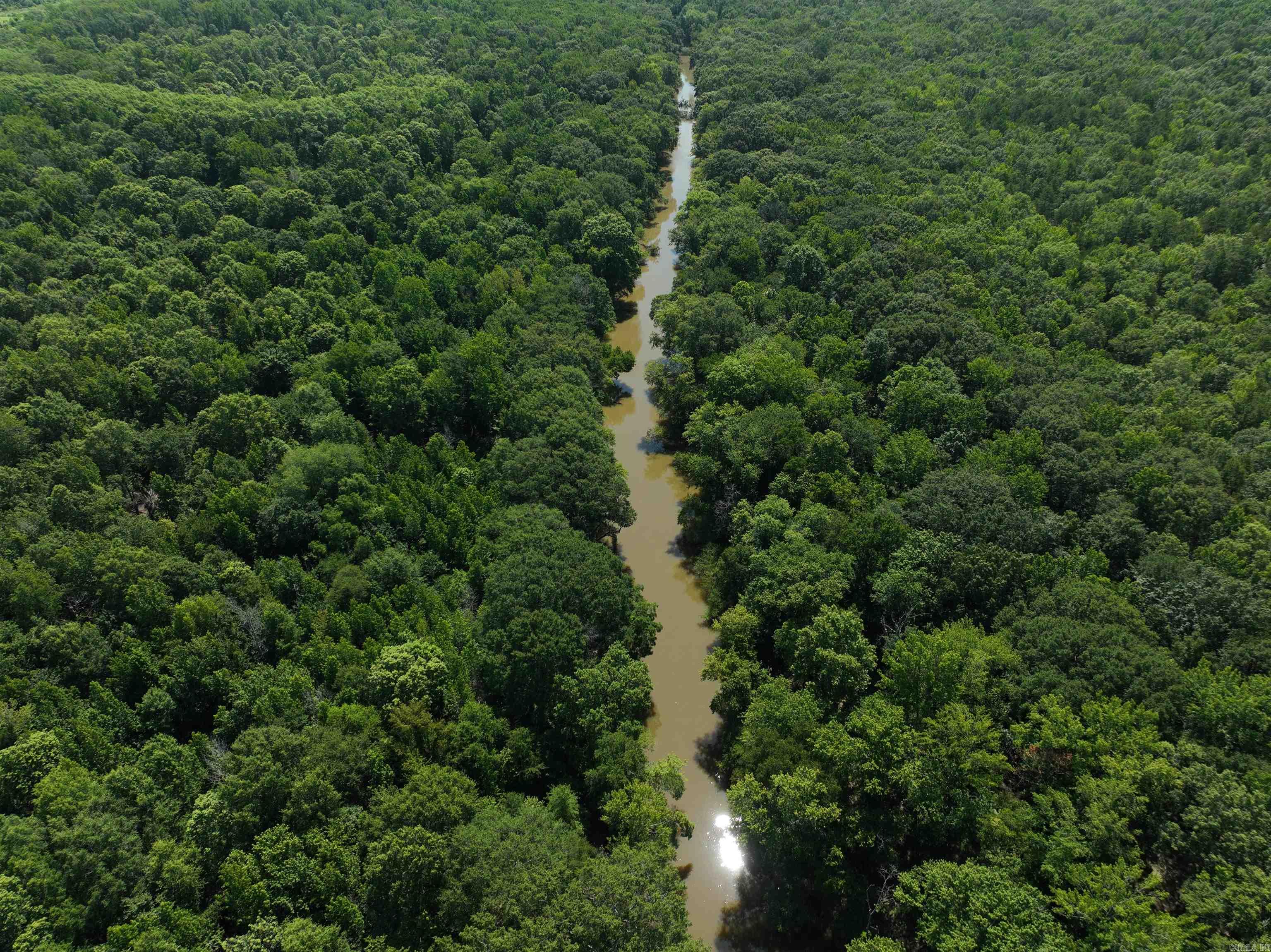 Discover your own slice of natural Arkansas beauty with this 11.24-acre wooded tract nestled along the scenic East Cadron Creek. Boasting approximately 540 feet of creek frontage, this rare piece of raw vacant land offers endless opportunities for outdoor enthusiasts — whether you're looking to hunt, fish, or simply escape into nature.  Tucked away in a quiet, rural setting, the property features a gentle slope leading down to the water, making it ideal for potential building sites with elevated views and easy creek access. Wildlife is abundant, offering excellent hunting potential and a true sense of seclusion and tranquility.  Despite its peaceful location, you’re just 20 minutes from downtown Conway, giving you the perfect blend of rural living with convenient access to shopping, dining, and modern amenities.   Whether you're looking to build, invest, or just escape the hustle, this is the ideal place to unwind and connect with nature.