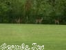 MAUMELLE VALLEY ESTATES - Residential