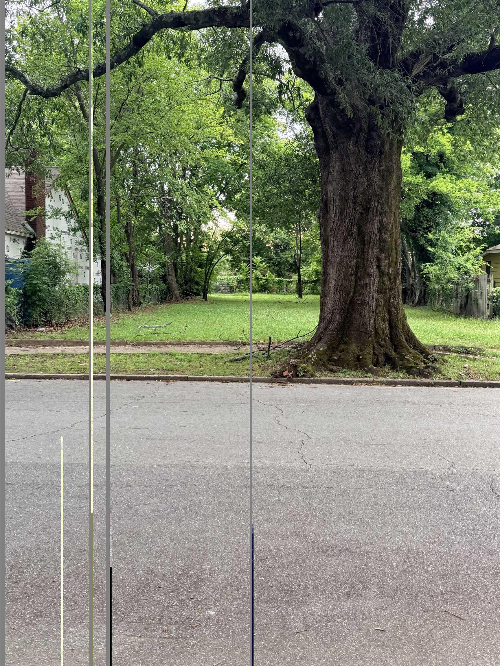 Great lot with a beautiful tree out front. Perfect lot to build your home on.