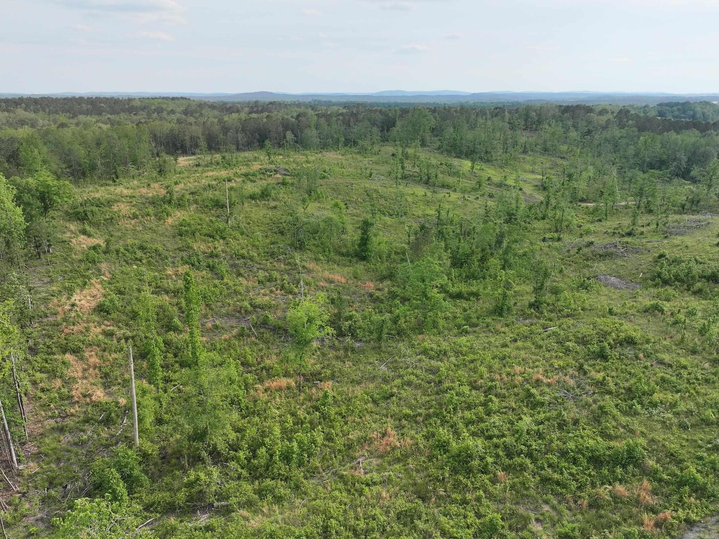 40 +/- Acres in Montgomery County! Prime recreational or residential property located just minutes from the Caddo River, Lake Greeson, and Lake DeGray. Features mixed timber, great hunting, and multiple stunning building sites. Easy access to Hot Springs or Arkadelphia, just outside of Glenwood city limits. Perfect place to build your dream home on this gorgeous 40-acre! With, utilities available, this is a perfect opportunity for a hobby farm, custom home, or a peaceful weekend retreat. This property has been approved for USDA to build a pond utilizing the natural spring on the property. The seller will include all fencing materials available to install a fence around the entire property with the sale.