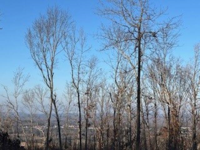 Cooper Point - Land