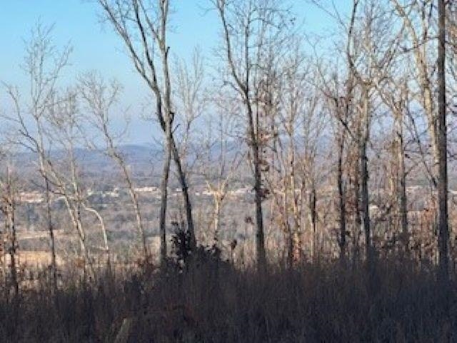 Cooper Point - Land