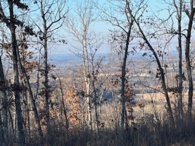 Cooper Point - Land