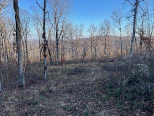 Cooper Point - Land