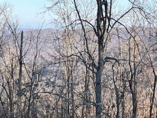 Cooper Point - Land