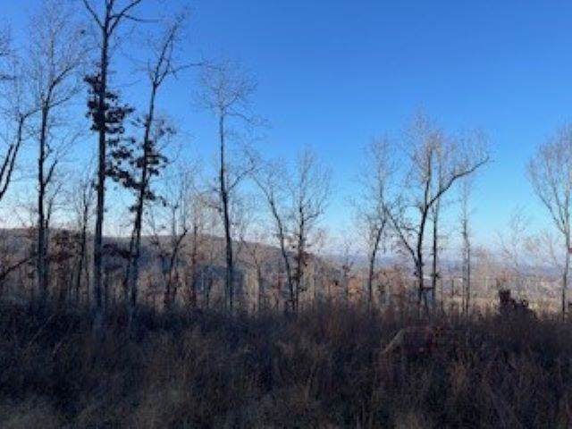 Cooper Point - Land