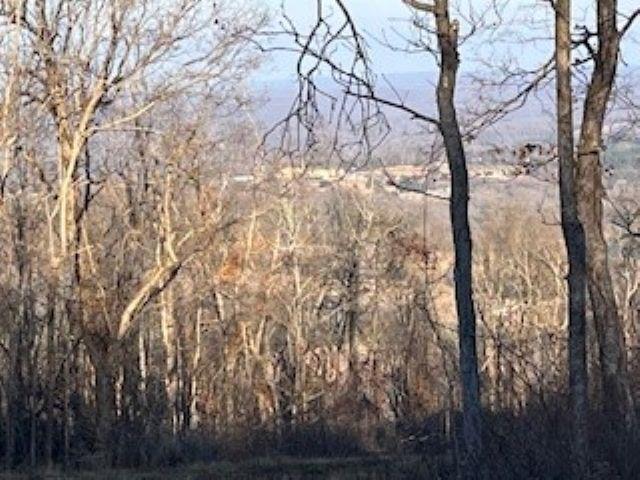 Cooper Point - Land