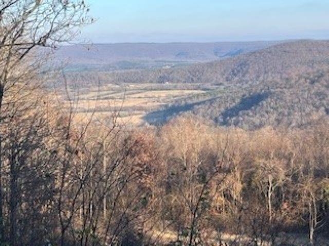Cooper Point - Land