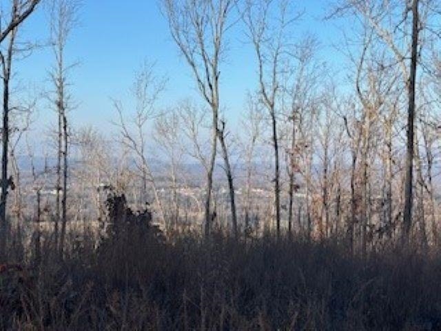 Cooper Point - Land