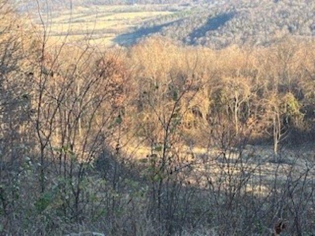 Cooper Point - Land
