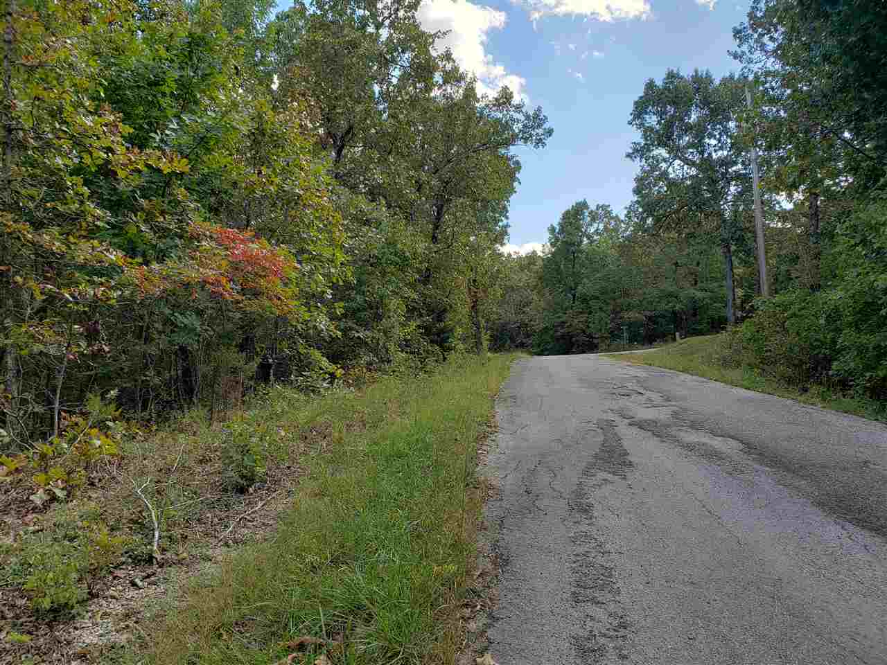 Two secluded lots side by side approx 3/4 of an acre. Plenty of room to build your dream home on these gently sloping lots. With a downhill slope from front to back. Less than a 3rd of a mile to lake Navajo in both directions. Just enough privacy but you can get out to the 4 lane Hwy for groceries and dining out in minutes. Get a look at these lots before they are gone. Peace and Quiet, Ozark country living at its best. Cherokee Village has 2 golf courses, 7 lakes and the Southfork river too.