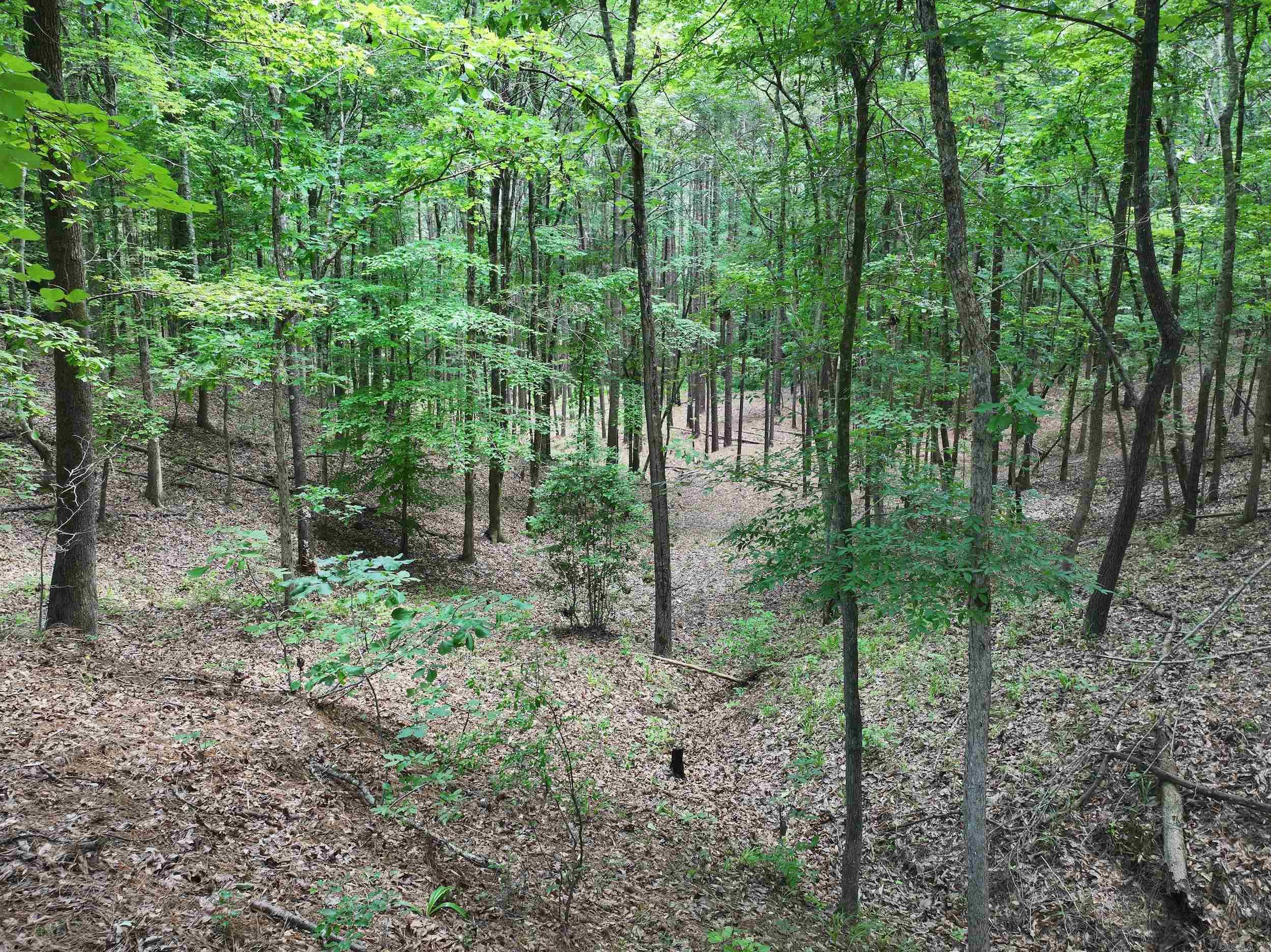 Not in Subdivision - Land
