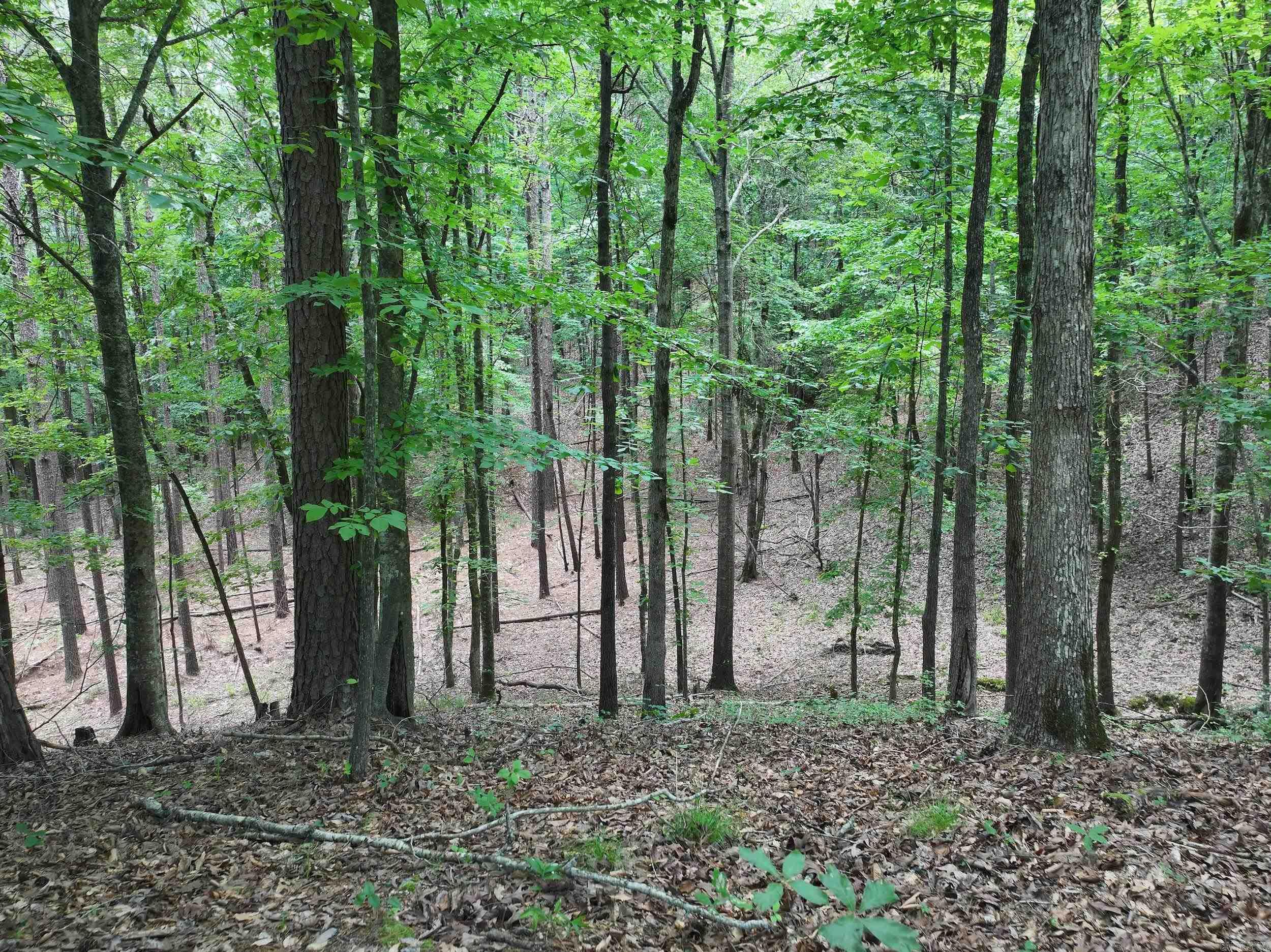 Not in Subdivision - Land