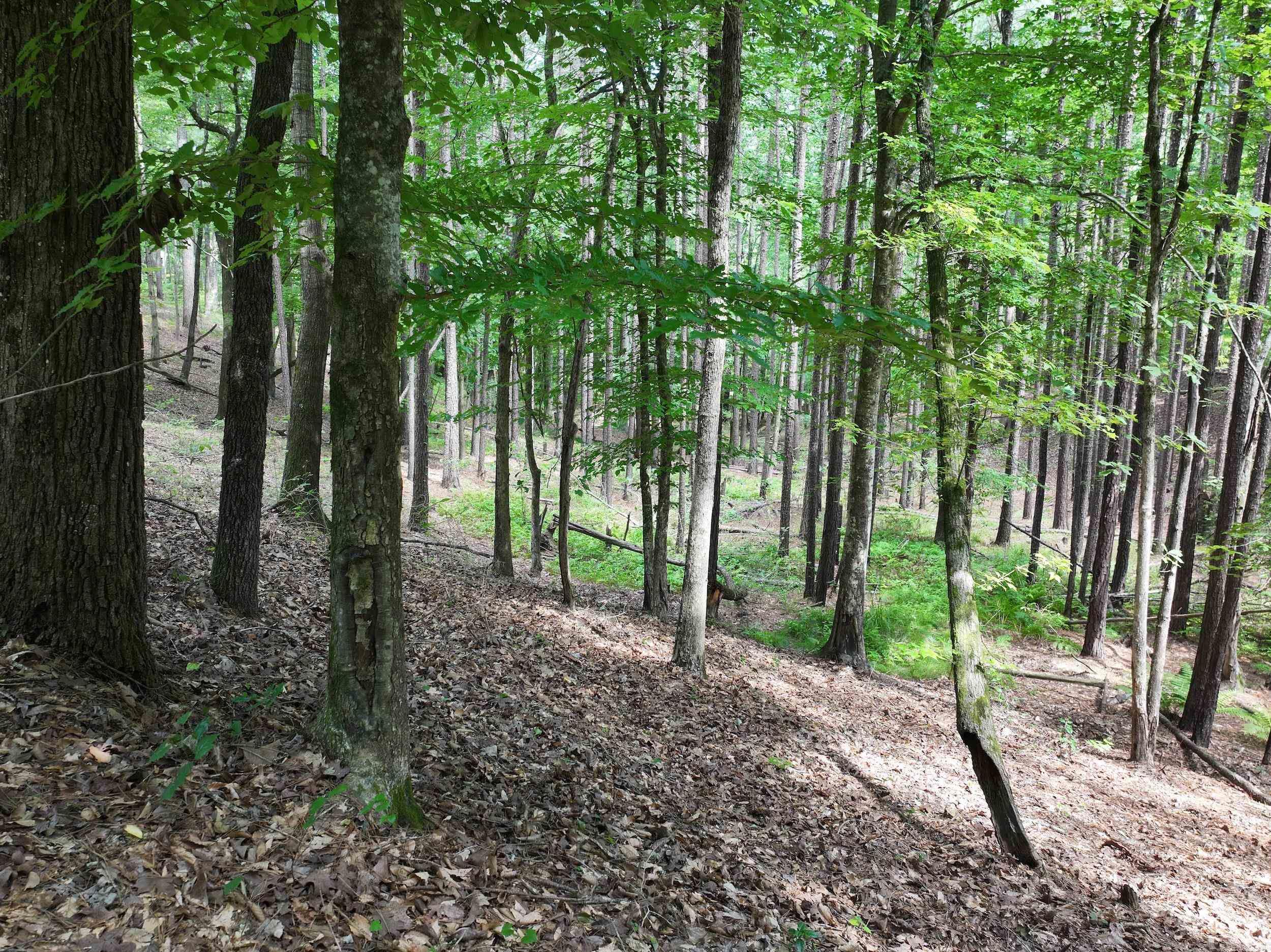 Not in Subdivision - Land