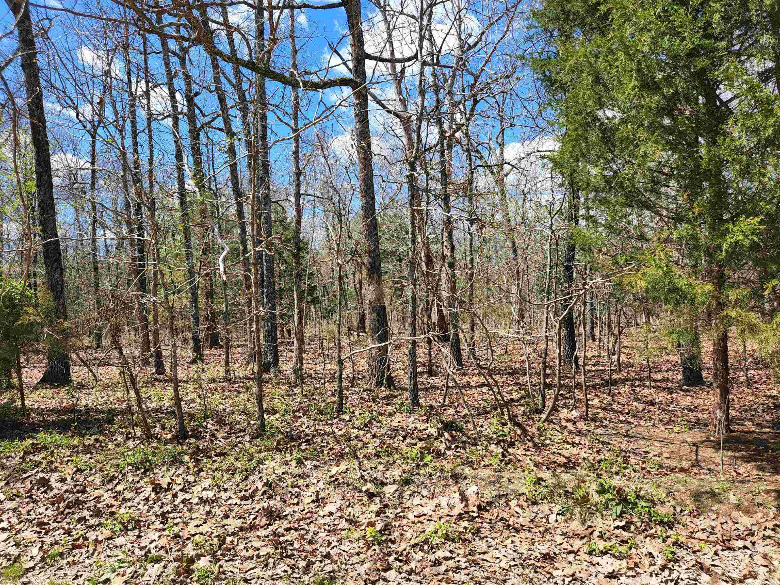 OZARK HEIGHTS HIDDEN VALLEY - Land