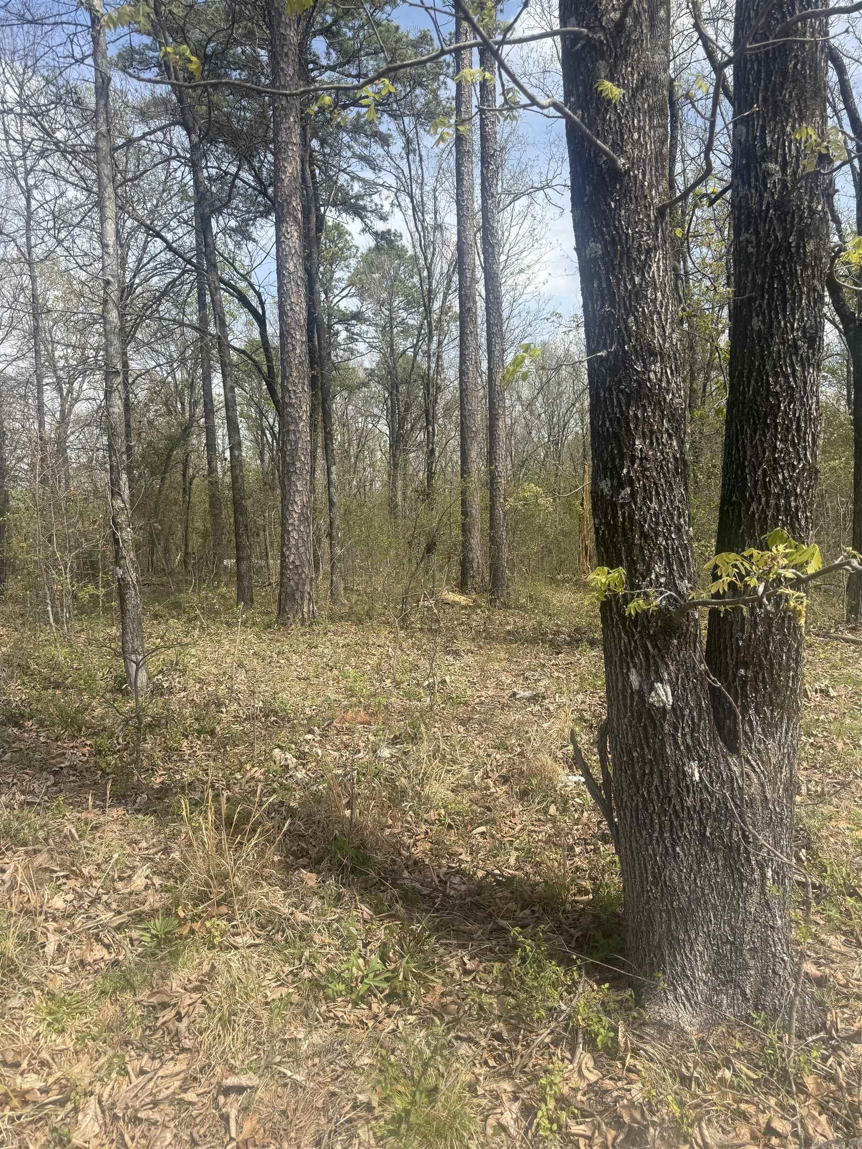 2 wooded acres located in the Finch area, offering a great opportunity for residential use. This property provides a peaceful setting with plenty of potential to build your dream home. Water and electricity are available (buyer to verify providers and connection details). Don’t miss your chance to own this beautiful piece of land—call today for more information.