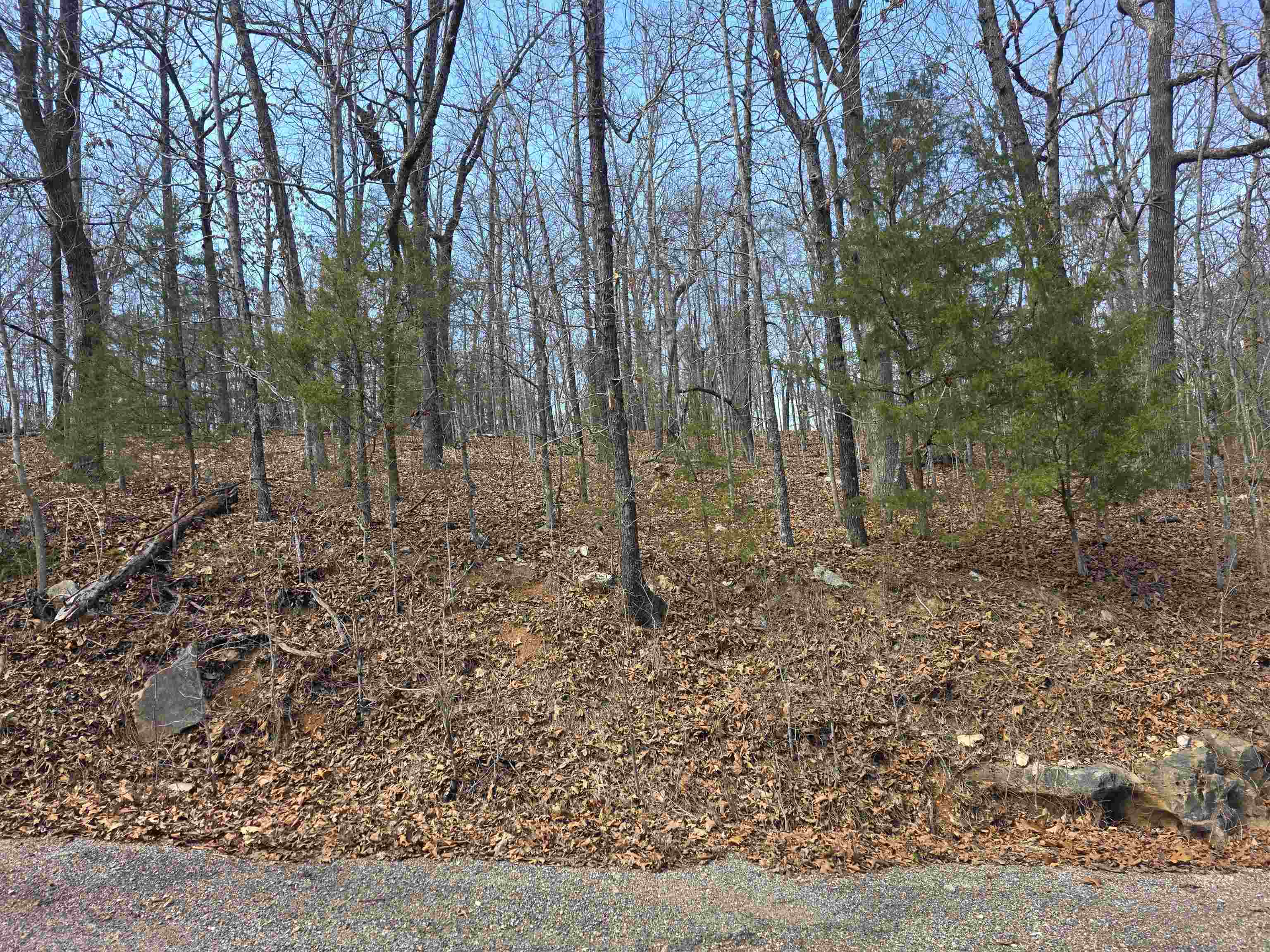 Hill Top - Land