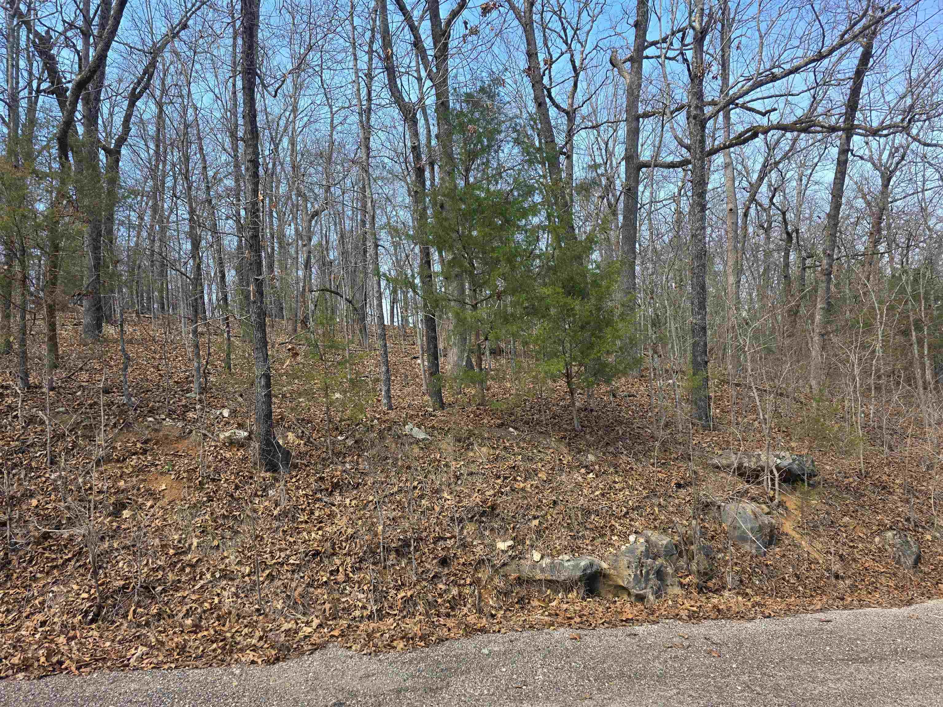Wonderful, Wooded lot. This lot sits up high above the road. Lots of trees and lots of nature and wildlife. Come check this lot out, check out the view and see where you want to put your vacation home or your forever home. Retire here and fish 7 different lakes and golf 2 different 18-hole golf courses. Don't forget about the beautiful South Fork River that flows right through the Village. Shop in Old Hardy town and trout fish the Spring River. That's living the Cherokee Village lifestyle.