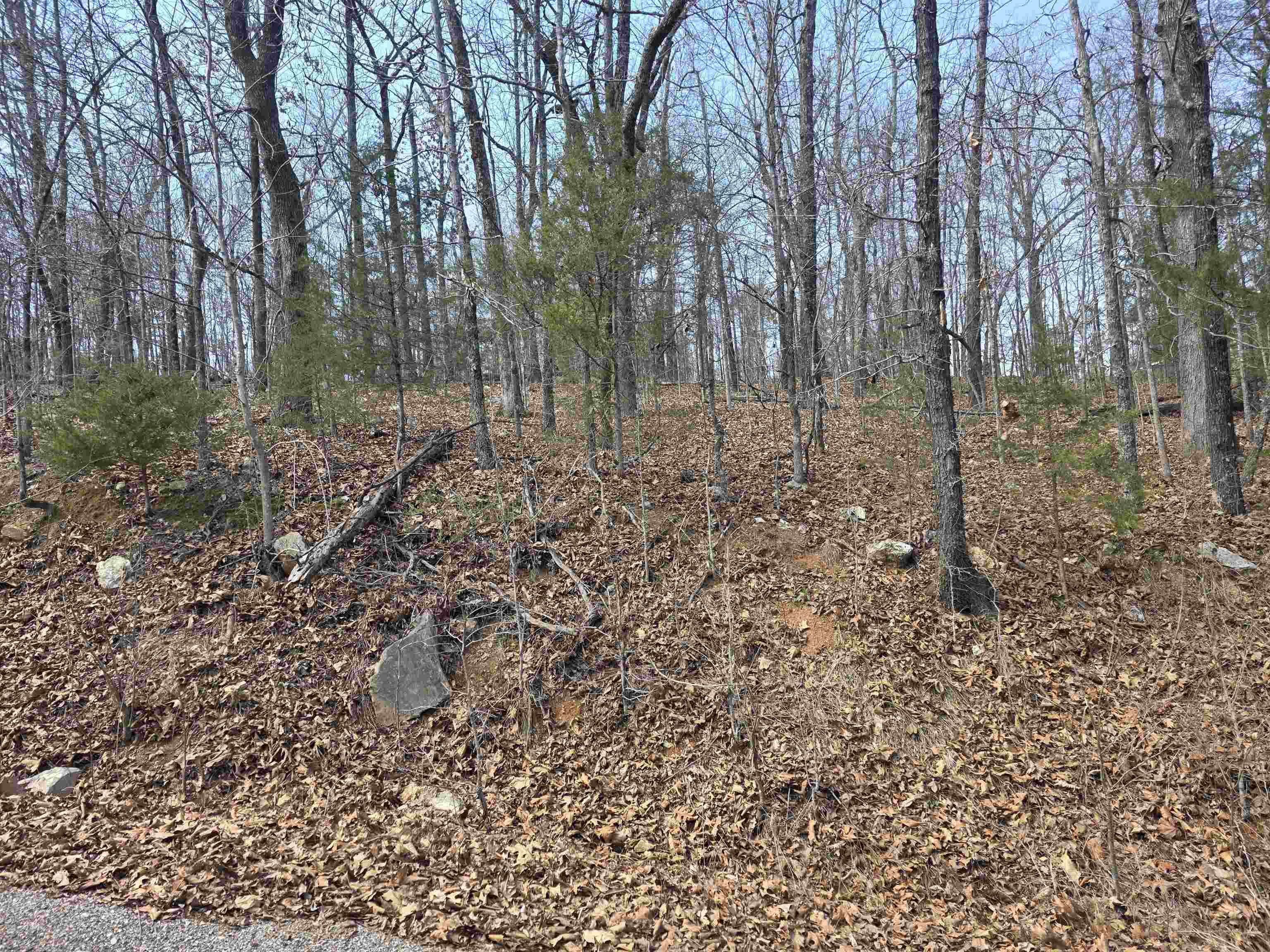 Hill Top - Land