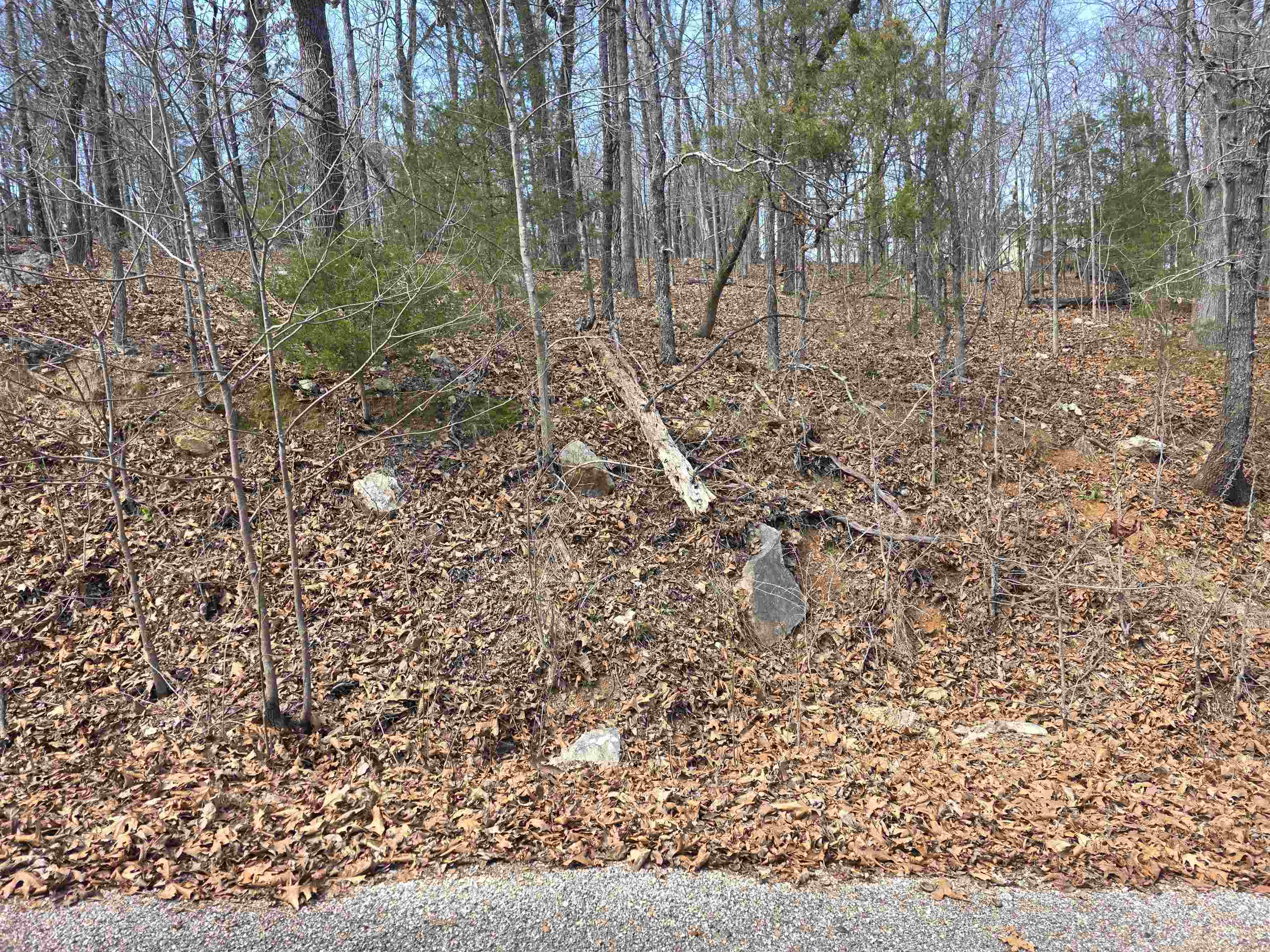 Hill Top - Land