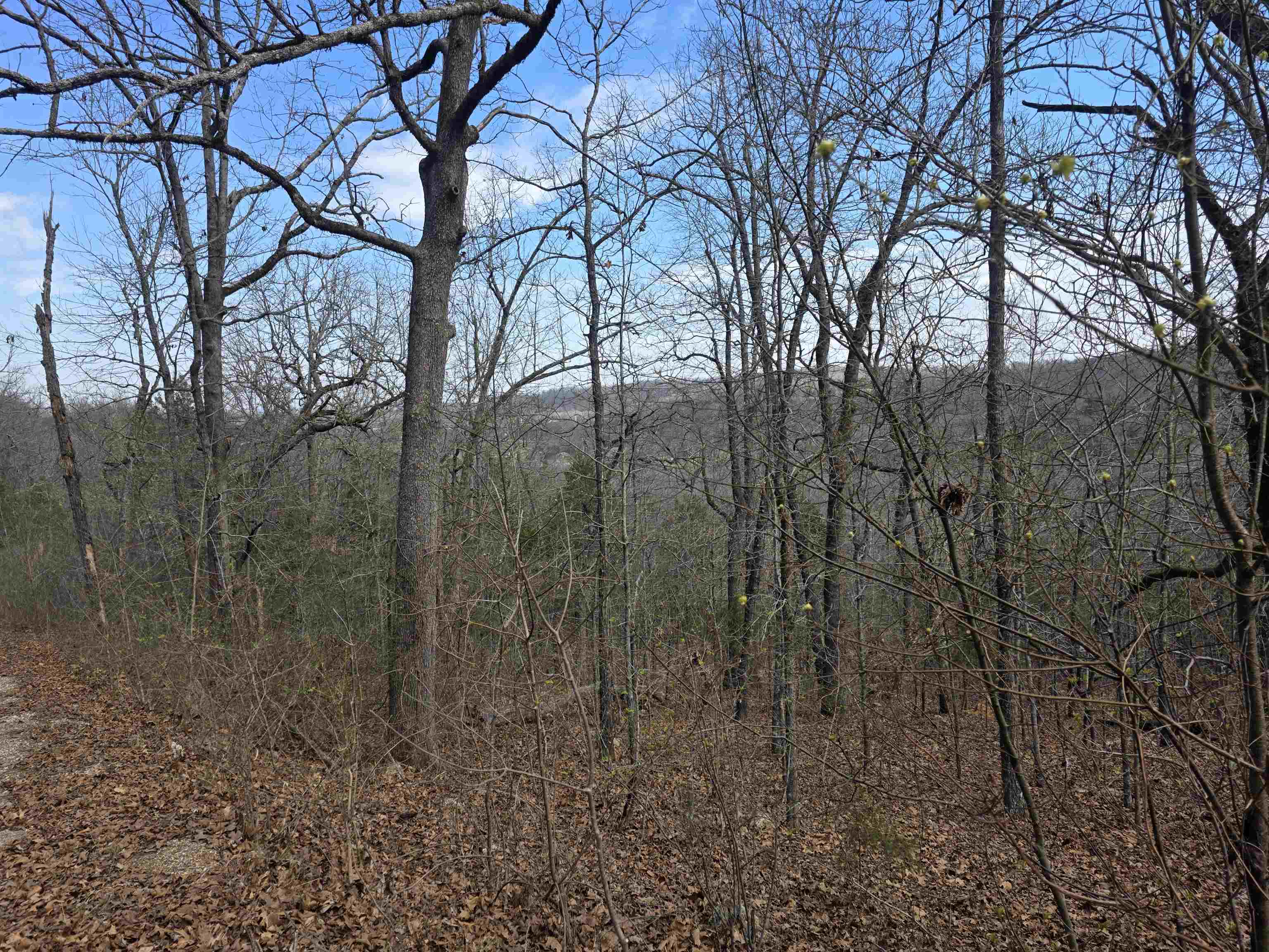 Hill Top - Land