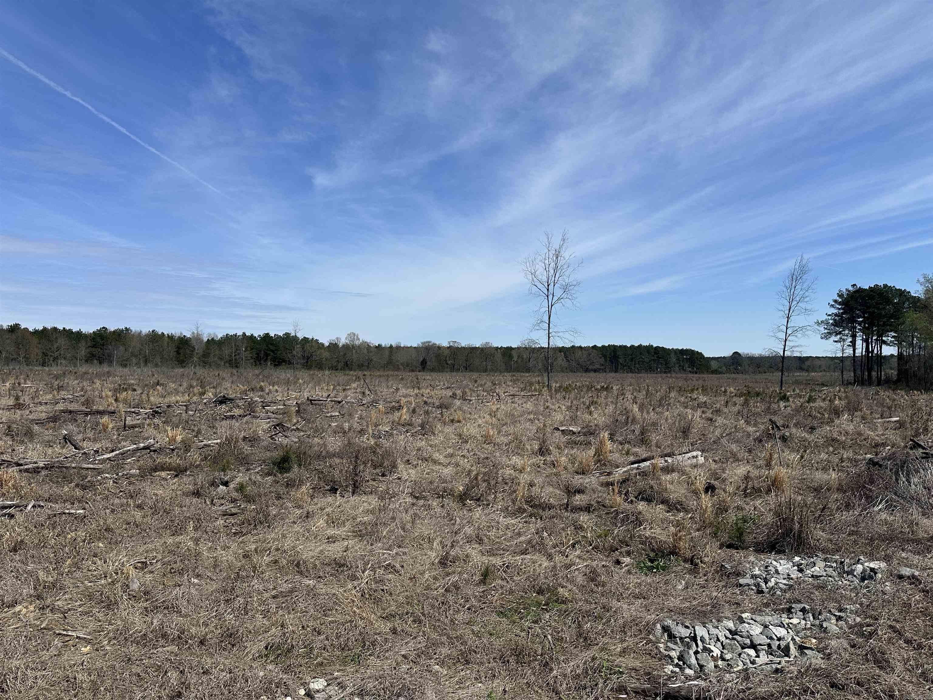 The Lone Sassafras 40 Tract is in the south-central part of Drew County, Arkansas approximately 9.0 miles south of Monticello.  Access to the property is good from Drew County Road 36 (Midway Route) along the West boundary and Drew County Road 40 (Pleasant Grove Road), a county-maintained gravel road, along the North Boundary. There are typical rural utilities (electric, phone, and rural water) on these road. Most of this tract was planted with loblolly pine in 2025 that provides a great timber investment! There is a creek drain the bisects the tract that adds diversity! Whether you are looking for a place to build your dream home, convert the plantation to pasture and build a farm, keep the tract as a timberland investment, or just looking for a place to hunt or just ‘get away’, check on the ‘Lone Sassafras 40 Tract’!