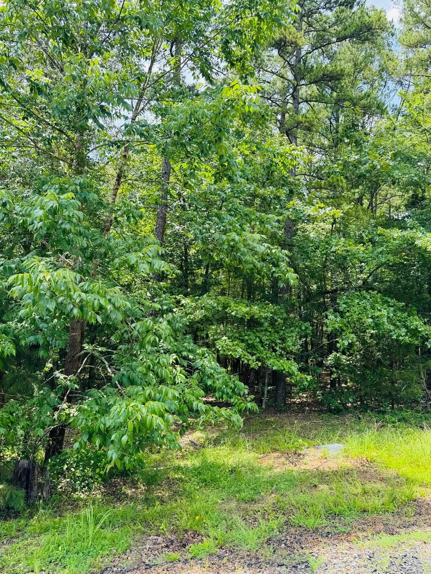 Primrose Creek Sayles - Land