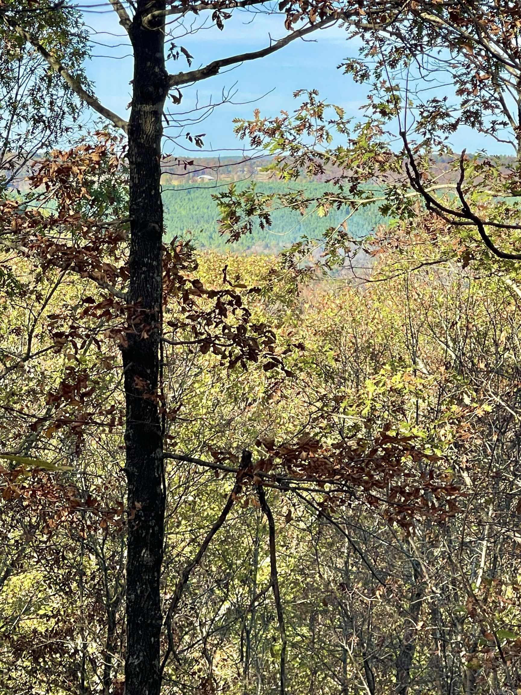 Eagle Ridge - Land