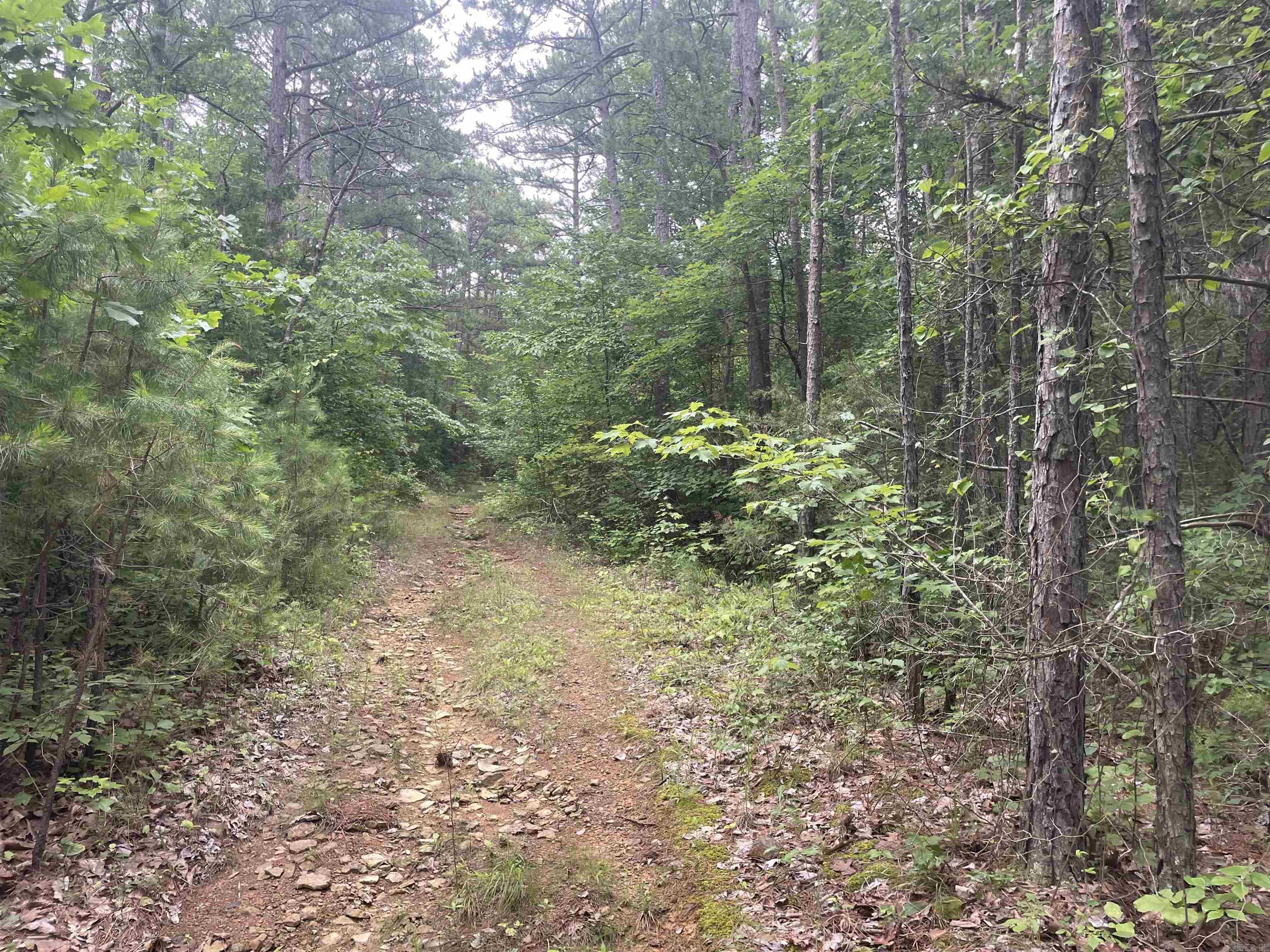 Hunters, outdoor enthusiasts, trail riders, and homesteaders—don't miss this rare opportunity to own 24.43 acres of prime Arkansas timberland!  This heavily wooded tract features mature hardwoods, White Oaks, and Pine timber, creating excellent habitat for deer, turkey, and other wildlife. Whether you're looking for a hunting property, recreational getaway, future homestead, or investment opportunity, this land offers outstanding potential. The property includes an abstract, an old homesite with a well, and a second well at a former cabin site. Access is available via a trail from Sylvan Lane, and the rolling terrain is ideal for hunting, hiking, ATV riding, horseback riding, camping, or building your dream cabin. An added bonus: the south boundary adjoins a 16.68-acre tract that is also available for purchase, creating the opportunity to own a total of 41.11 acres in the beautiful Arkansas Ozarks.