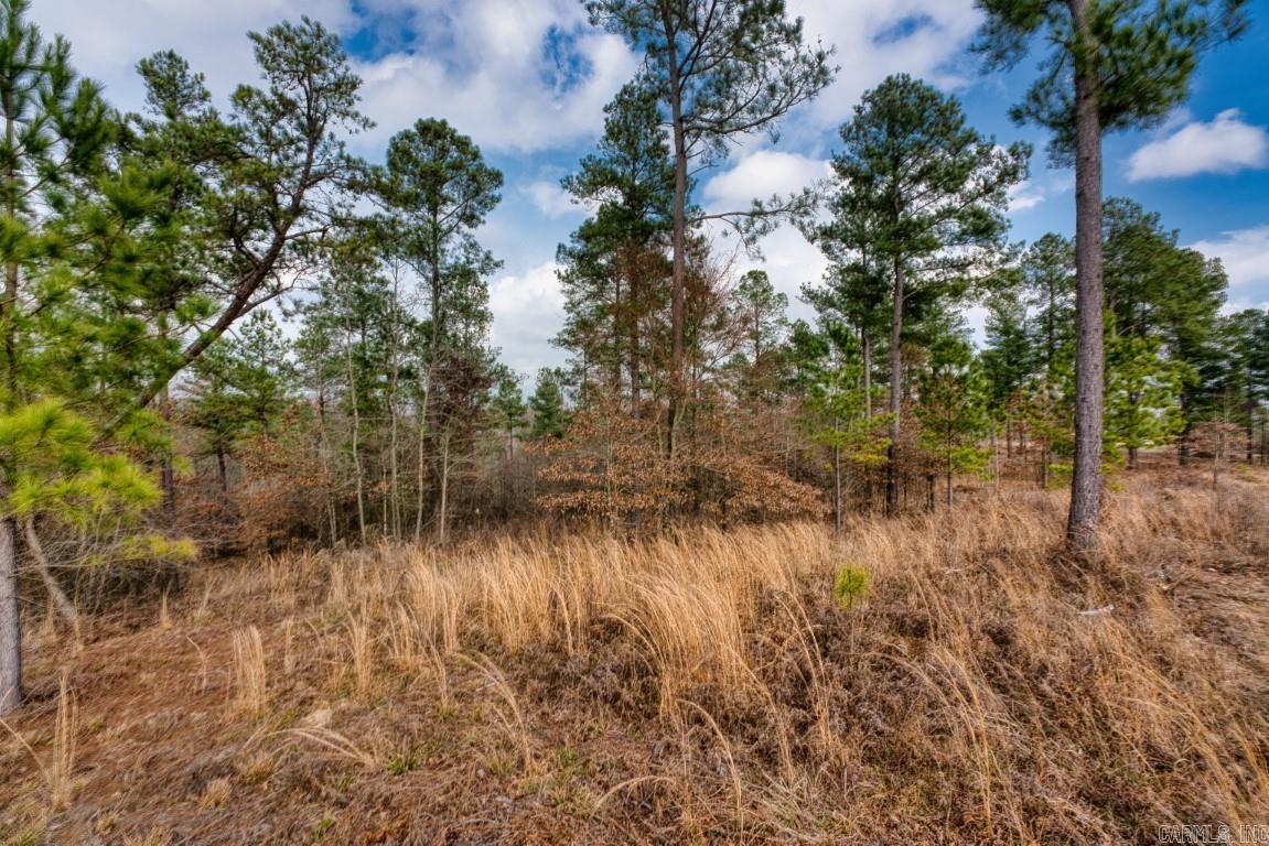 BEAR CREEK RIDGE SUBDIVISION PHA - Land