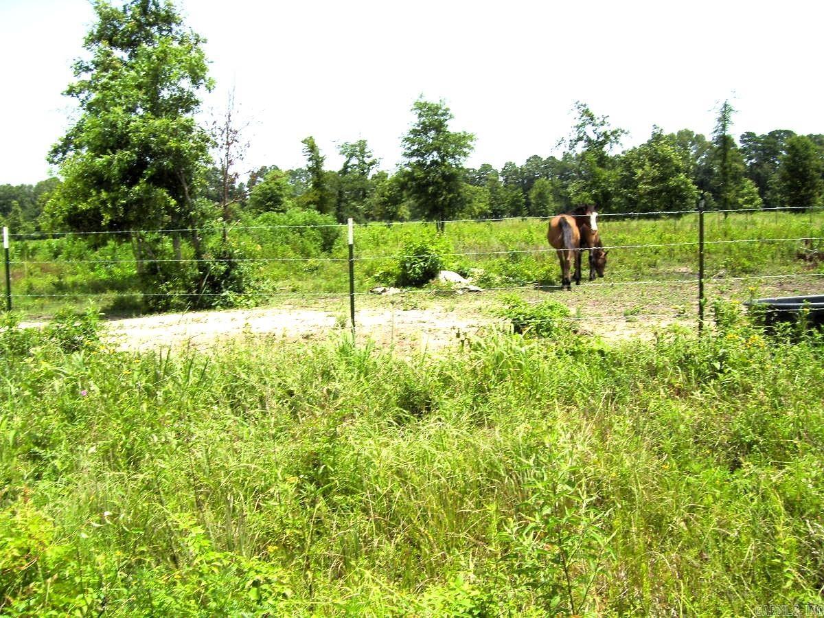 Richmond - Farm