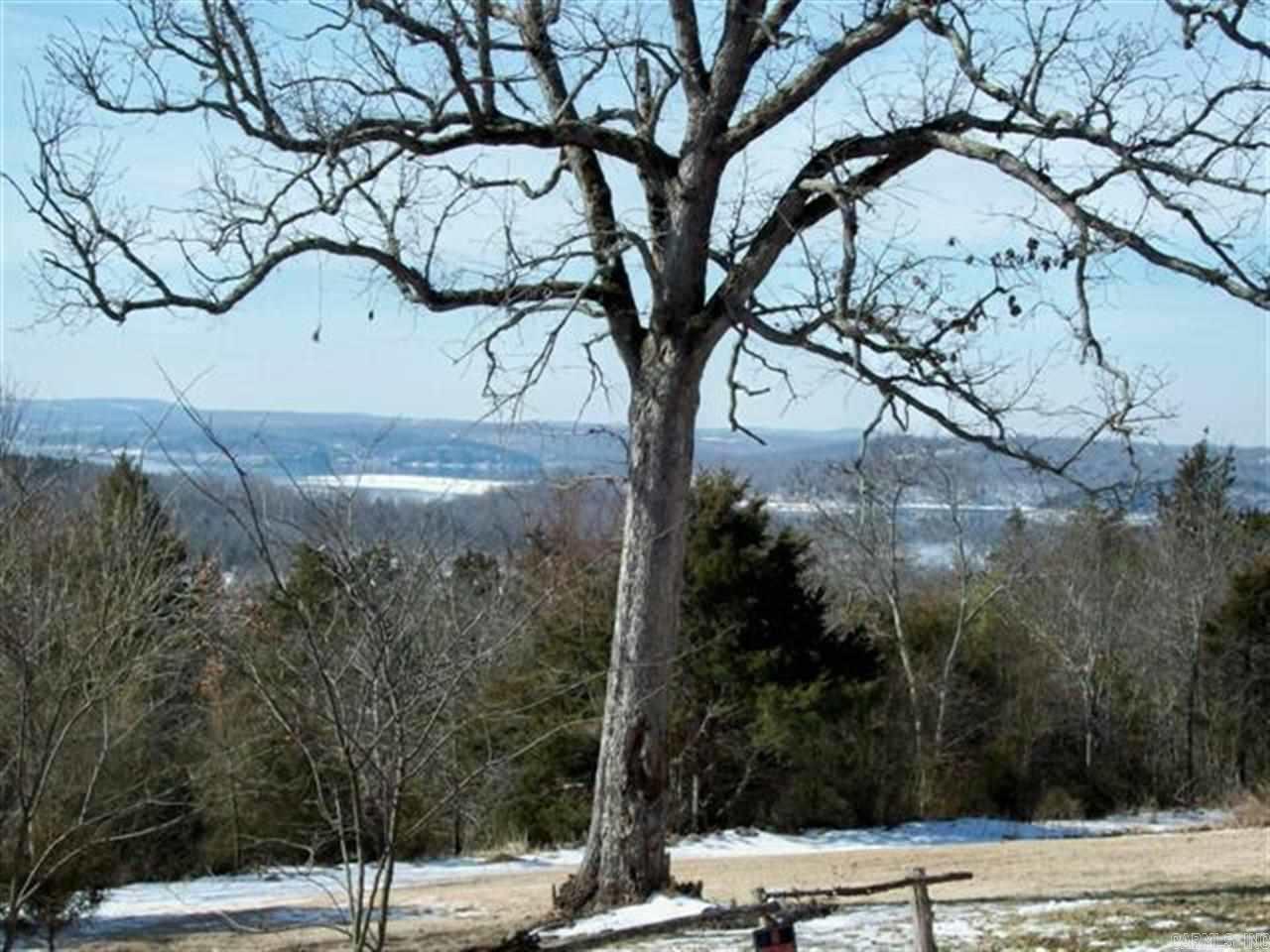 You are paying for the location and the view. Mobile home is in need a of a little TLC. You would just about five minutes from the Henderson Boat Dock. The adjacent properties has been divided up into lots for future sells. (It is the old Wilderness Point Resort) Very neat get-a-way so check it out. See Agent Remarks