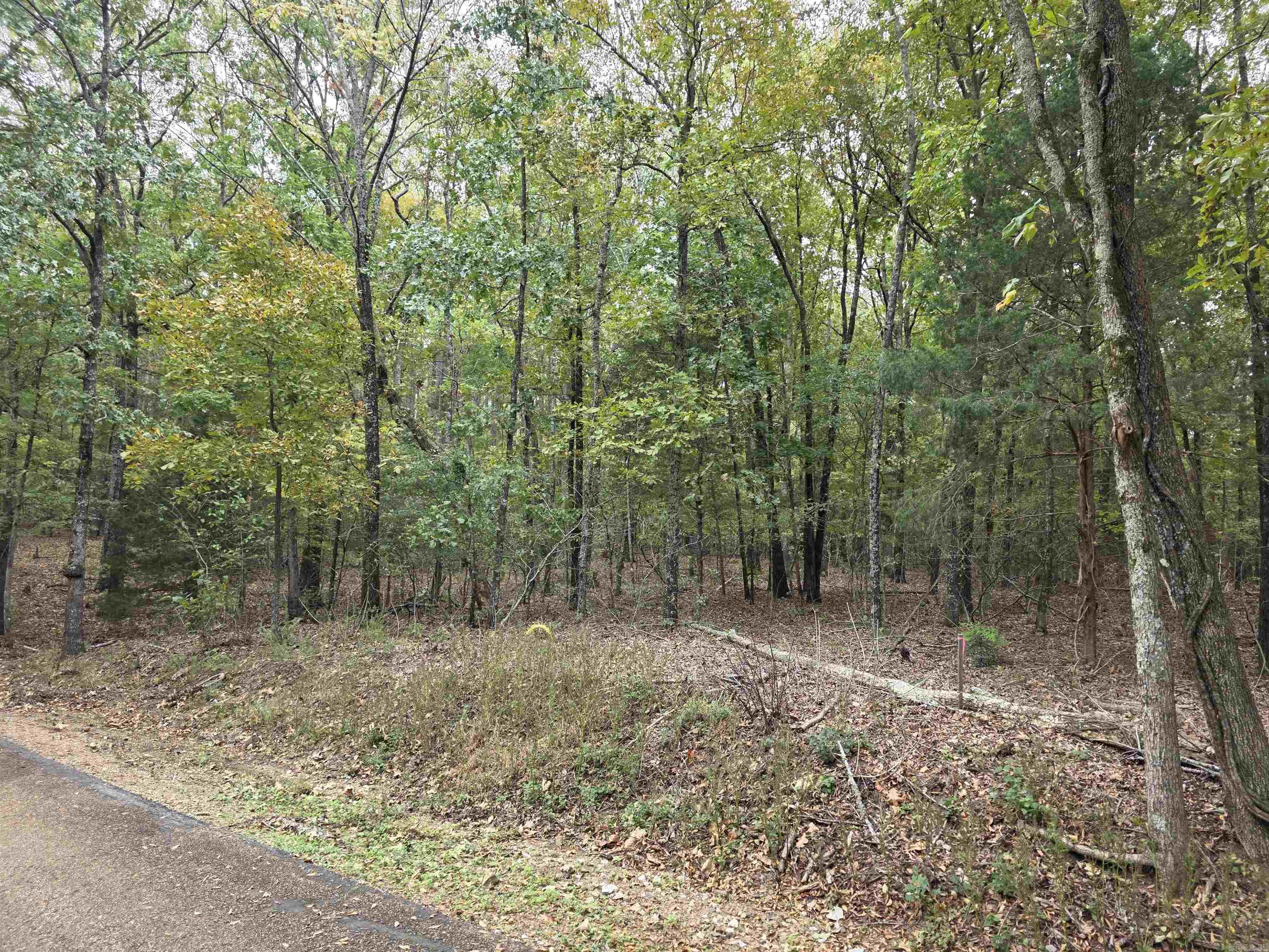 LAKEVIEW!!! Be in the upscale neighborhood in Tannenbaum Subdivision with this very nice lot to build your dream home on. Across the street from the lake but still has a nice lake view. Be close to the lake and the prestigious Tannenbaum Golf Course. There is also a grass airstrip right around the corner from this lot. Be right in the middle of it all with your perfect lake home, retirement home or full time residence.
